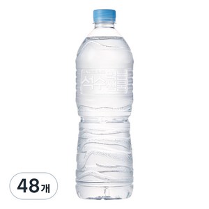 석수 무라벨, 1L, 48개