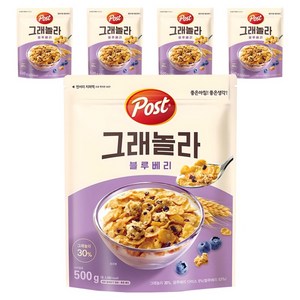 포스트 그래놀라 시리얼 블루베리, 500g, 5개
