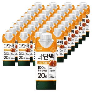 더단백 드링크 카라멜, 250ml, 36개