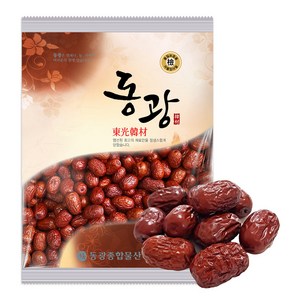 동광한방몰 대추, 100g, 1개