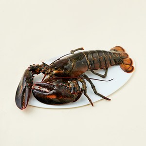 캐나다산 활랍스터, 670g, 1개