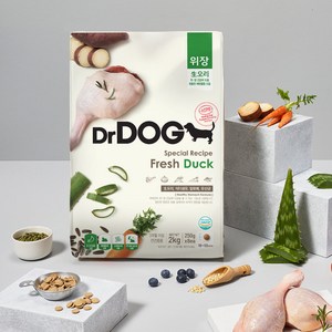닥터독 강아지 기능성 사료, 위, 2kg, 1개