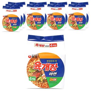 농심 육개장 봉지라면, 40개, (4개입 X 10팩)