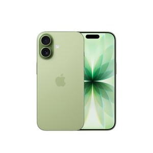 Apple 아이폰 17 자급제