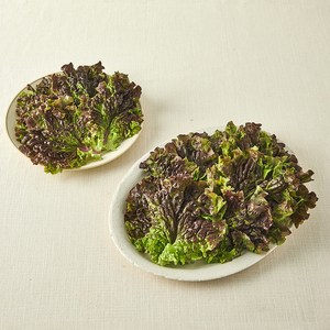 국내산 친환경 적상추, 200g, 1개