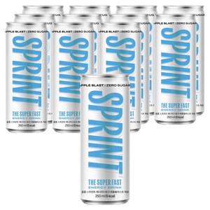 클룹 스프린트 에너지드링크 애플블라스트 제로, 250ml, 12개