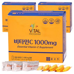 바이탈프로그램 비타민C 1000mg, 200정, 3개