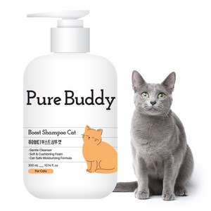 퓨어버디 부스트 샴푸캣 애플블라썸향, 300ml, 1개