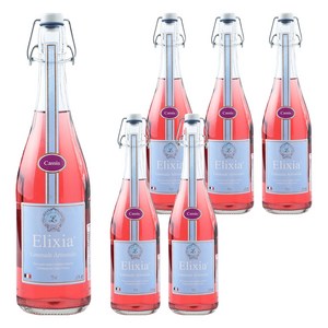 엘릭시아 블랙커런트맛 탄산음료, 750ml, 6개