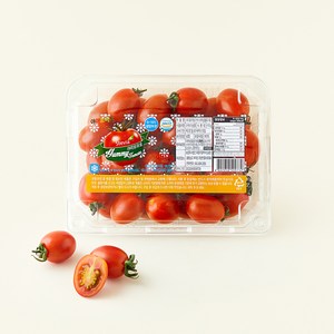 야미 스테비아 대추방울토마토, 450g, 1개