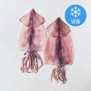 국산 손질 오징어 (냉동), 600g, 1개
