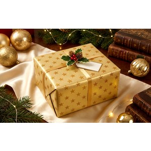 좋은기븐샤이닝 포장지, 하이스타 골드, 1개