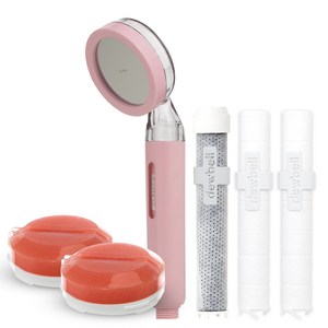 듀벨 와이즈아이 비타민 샤워기 + 쥬시 그레이프룻향 필터 2p + 세디필터 2p + 카본필터 세트, 핑크, 1개