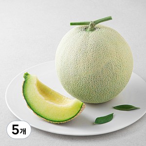 곰곰 머스크 멜론, 1.3kg, 5개