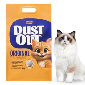 쉬즈곤 먼지아웃 벤토나이트 고양이 모래, 6kg, 무향, 1개
