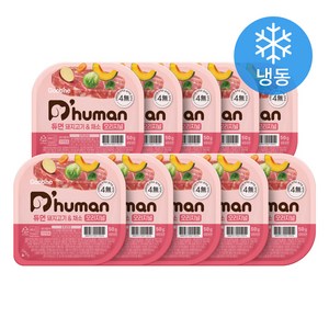 듀먼 강아지 채소 오리지널 화식사료 용기형 (냉동), 50g, 돼지, 10개