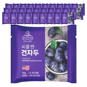 넛츠팜 씨를 뺀 건자두, 30g, 30개