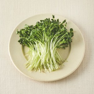 친환경 무순, 30g, 1개