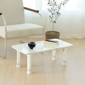 레몬트리 국내제조 LPM 샤르망 4단 높이조절형 접이식테이블