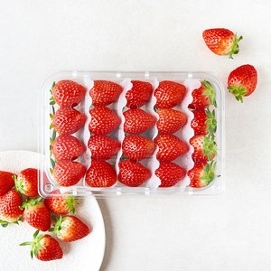 곰곰 국내산 딸기, 500g(대과), 1팩