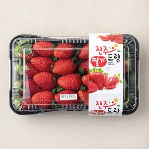 진주드림 금실 딸기 대과, 500g, 1개