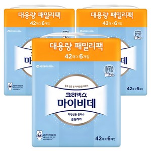 마이비데 클린케어 화장실용 비데티슈 패밀리팩 휴대형