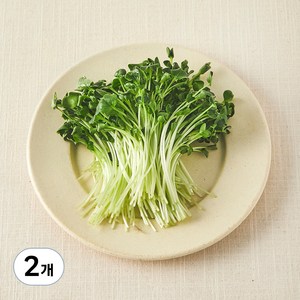 친환경 무순, 30g, 2개