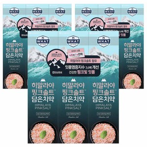 LG생활건강 히말라야 핑크솔트 담은 치약, 100g, 9개