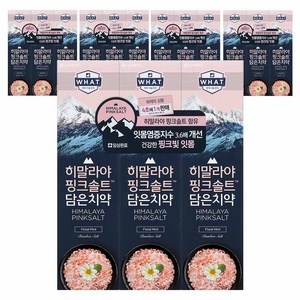 히말라야핑크솔트 담은 치약 플로럴, 15개, 100g