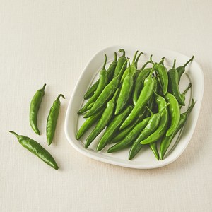 친환경 청양고추, 300g, 1개
