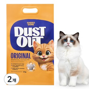 쉬즈곤 먼지아웃 벤토나이트 고양이 모래, 6kg, 무향, 2개