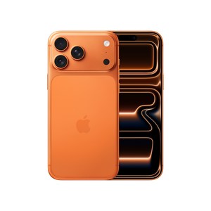 Apple 아이폰 17 Pro Max 자급제