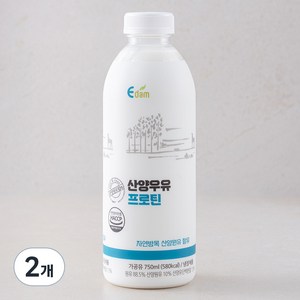 이담 산양우유 프로틴, 750ml, 2개