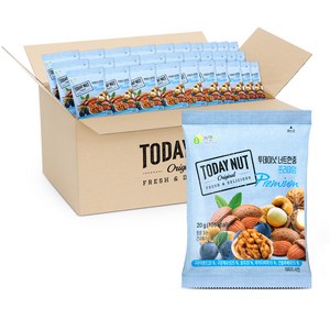투데이넛 너트한줌 프리미엄 믹스넛, 20g, 100개