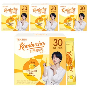 티젠 콤부차 유자