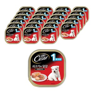 시저 1세 이하 강아지 주식캔