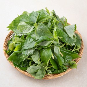 국내산 깻순, 170g, 1개