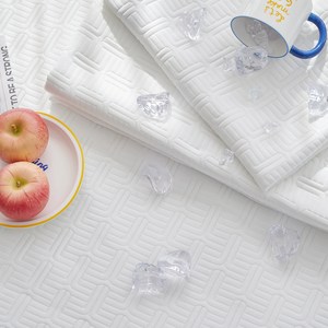 듀라텍스 냉감 쿨매트