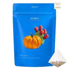 푸드올로지 마인드풀 백년초 호박 삼각티백