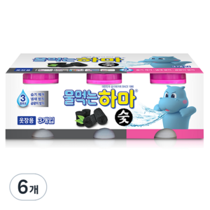 물먹는하마 숯 습기제거제 본품, 280g, 6개