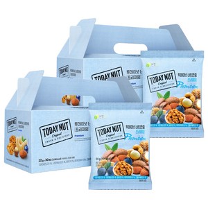 투데이넛 너트한줌 프리미엄 견과 선물세트 30개입 600g, 2세트