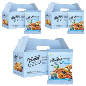 투데이넛 너트한줌 프리미엄 견과 선물세트 600g, 3박스