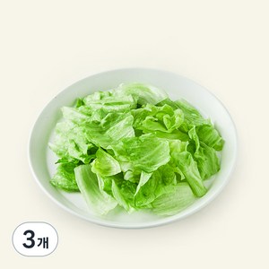 팜에이트 무농약 손질 양상추