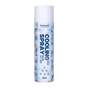 탐사 강력 쿨링 냉각 스프레이, 420ml, 1개