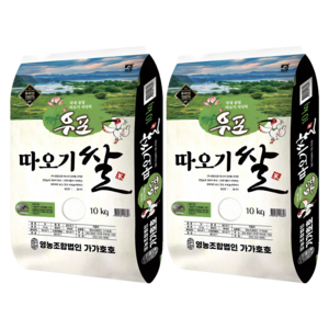 가가호호 2025년산 햅쌀 우포 따오기쌀 백미, 10kg, 상등급, 2개