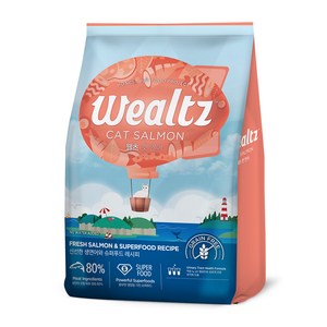 웰츠 전연령 캣 건식사료, 연어, 6kg, 1개