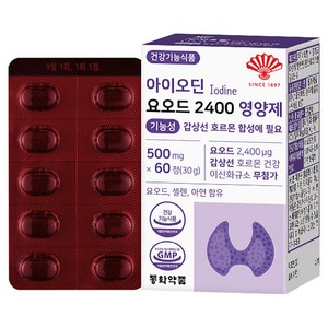 동화약품 아이오딘 요오드 2400 영양제 기능성 갑상선 호르몬 합성에 필요 30g, 60정, 1개