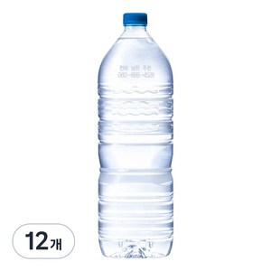 웅진 깊을수록 무라벨, 2L, 12개