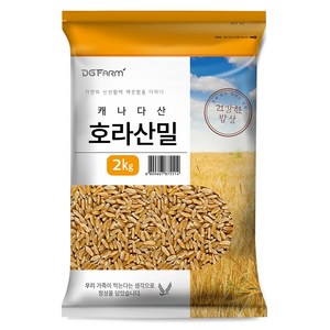 건강한밥상 호라산밀, 2kg, 1개