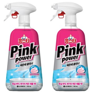 홈스타 핑크파워 욕실 찌든때 클리너, 750ml, 2개